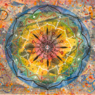 Mike Curley – Metagenics